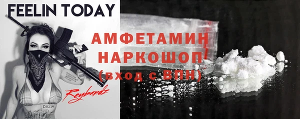 шишки Наволоки