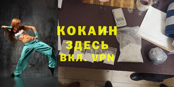 шишки Наволоки