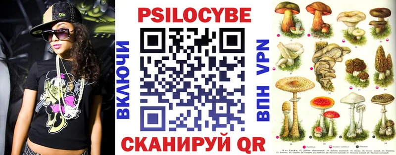Псилоцибиновые грибы Psilocybe  Зуевка 